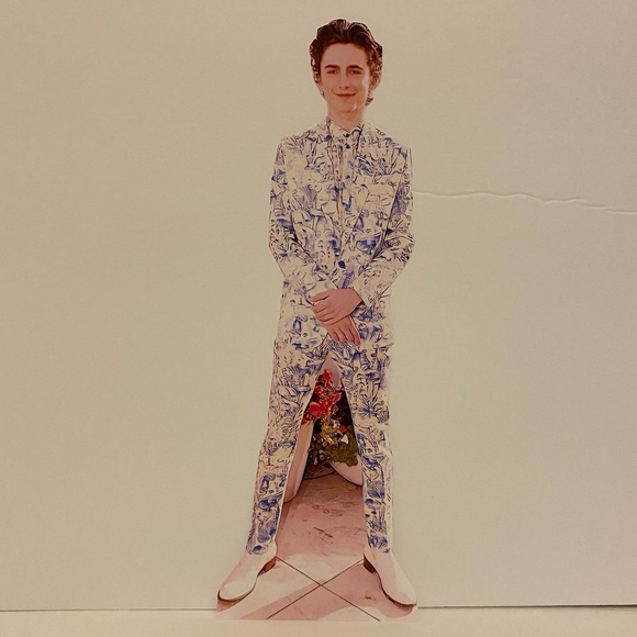 Other Timothee Chalamet Cardboard Cutout Poshmark